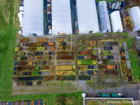 Dundreggan tree nursery from the air